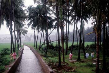 A Monsoon Evening in india1.jpg